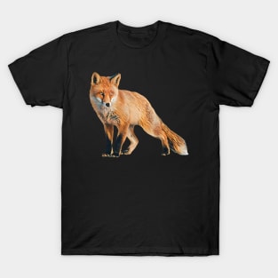 Fox - Woodland Themed Kids Room, Funny Gifts For Forester, Cute Animals T-Shirt